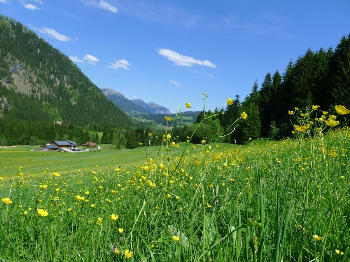 Alpenhaus Dachstein.Zauber Apartment Abtenau Exterior photo