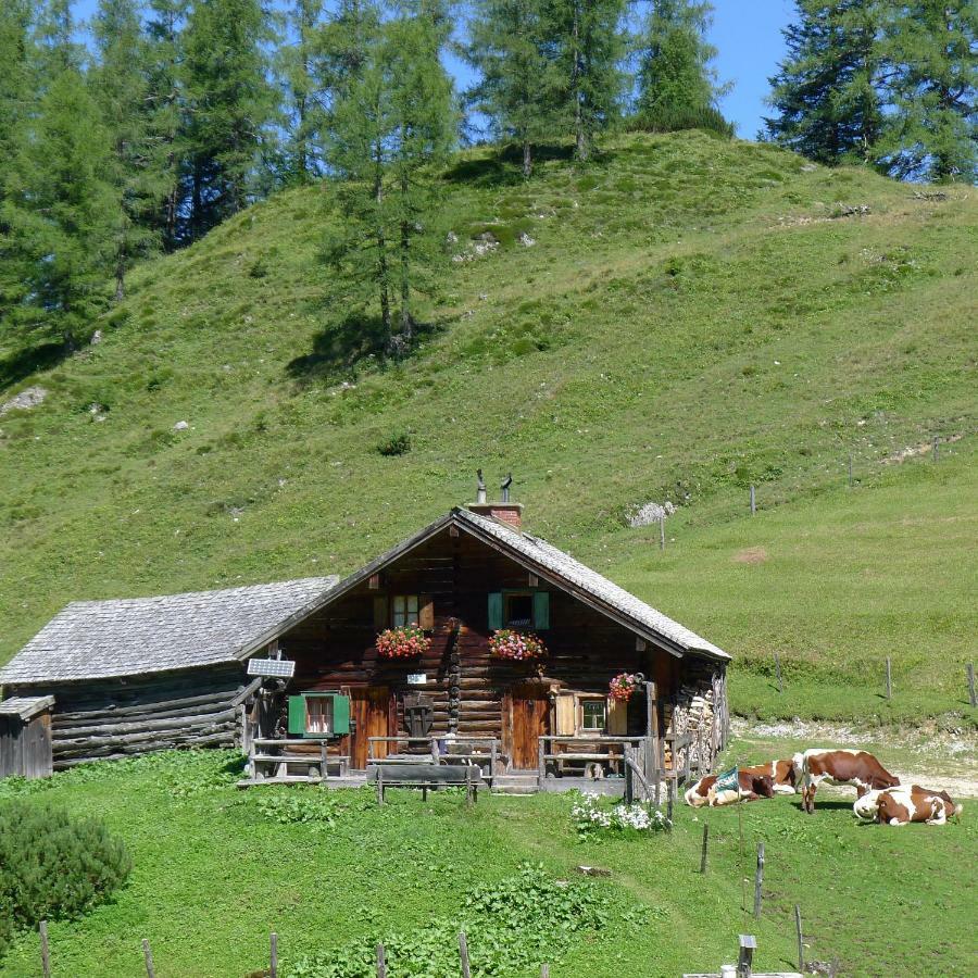 Alpenhaus Dachstein.Zauber Apartment Abtenau Exterior photo